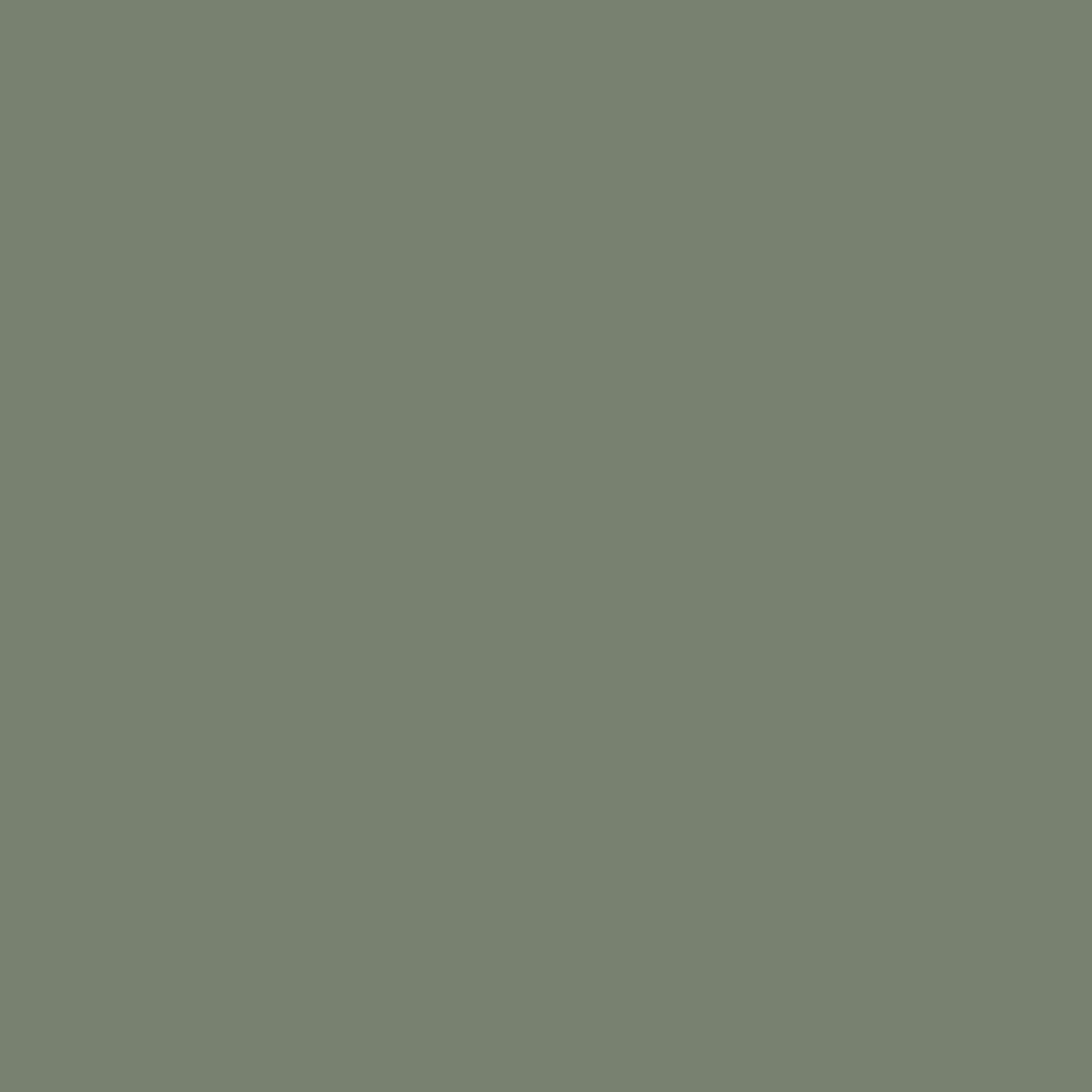 MS30CW01GN-000000000---998